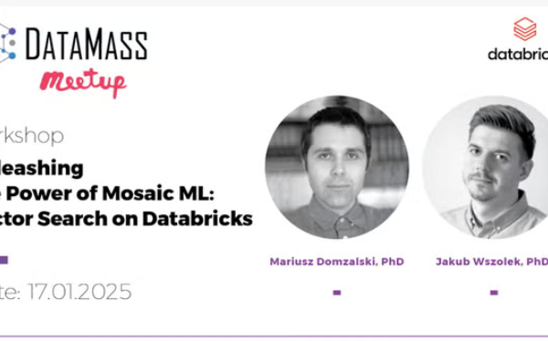 Unleashing the Power of Mosaic ML: Vector Search on Databricks [in English]